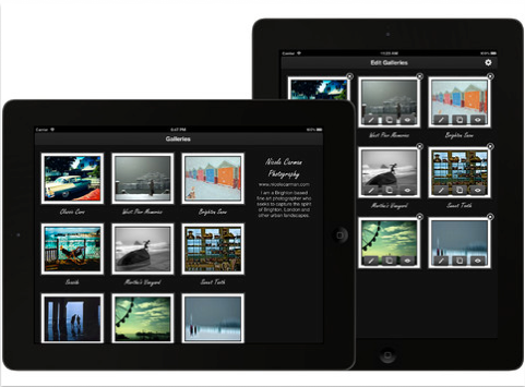 Portfolio Pro for iPad Screenshot