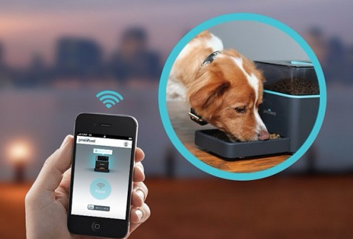 Pintofeed: Haustiere per App und iPhone füttern
