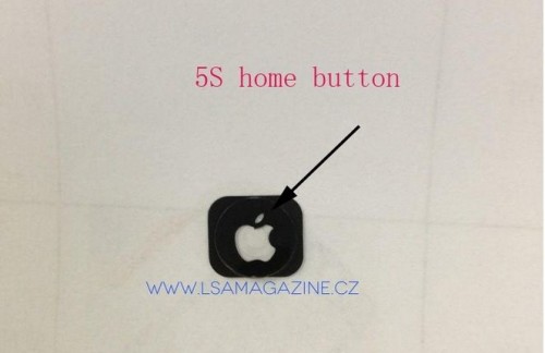 iPhone 5s Home Button