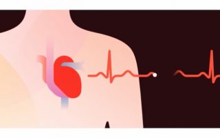WWDC 2019: Cardiogram misst die Highlights in Echtzeit