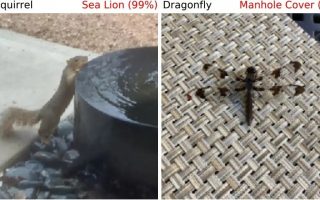 KI hat 7500 Mal versagt: Diese Bilder verwirren die Objekterkennung