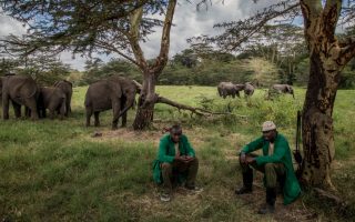Apple spendet für Wiederherstellung von Grasland in Afrika