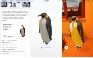 Google AR-Tiere kommen auch nach Deutschland