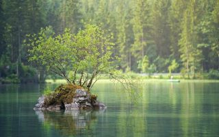 User macht Google Maps verantwortlich für Sturz in einen Fluss