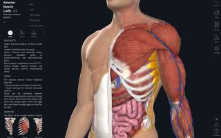 App des Tages: Complete Anatomy mit viel Mehrwert auf dem iPad Pro