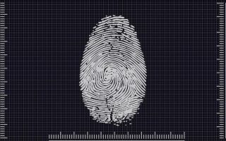 iPhone 13: Neuer Fingerprint-Sensor unter dem Display?