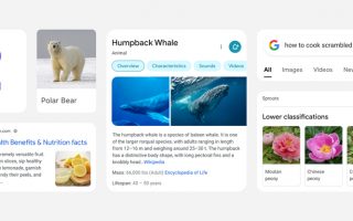 Google mit neuem Design für mobile Suche