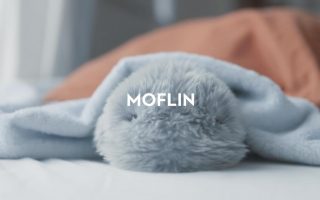 Im Video: MOFLIN, der niedliche Haustier-Roboter