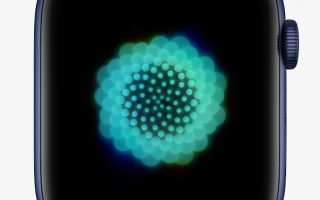 watchOS 8 von Apple vorgestellt