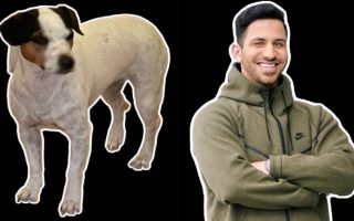 App des Tages: Slapstick Sticker Studio