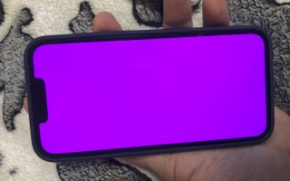 iPhone 13: Neues Problem, Display wird pink