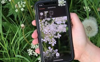 App des Tages: Flora Incognita im Video