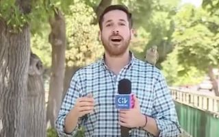 AirPods Pro kurze Zeit nur 256 Euro (plus Video: Vogel klaut TV-Reporter AirPod)