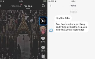 Tako: Neuer KI-Chatbot von TikTok in Planung