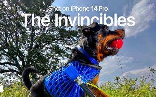 Mit Hund: Apple veröffentlicht Werbespot zum iPhone 14 Pro