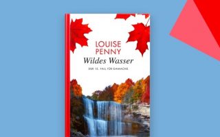 Zum Sonderpreis: „Wildes Wasser“ neuer Apple Pageturner der Woche