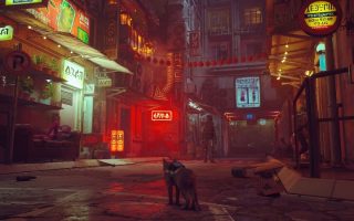 App des Tages: Stray im Video