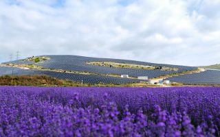 „Green Apple“ baut neue Solar- und Windparks in Europa