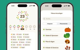 „30 Pflanzen pro Woche essen“: Neue App gegen Weihnachts-Völlerei