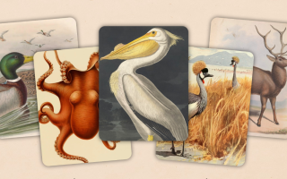 „Art of Fauna“: Top-Puzzle mit 10 neuen Level zum Jubiläum