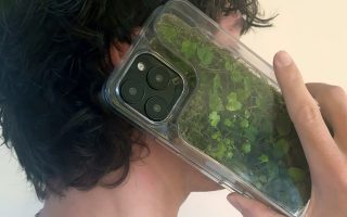 Mit Pflanzen und Moos: iPhone-Hülle als Terrarium