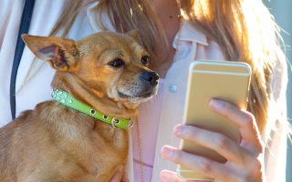 Wegen Kinderschutz: iMessage zensiert Fotos von „nackten“ Hunden