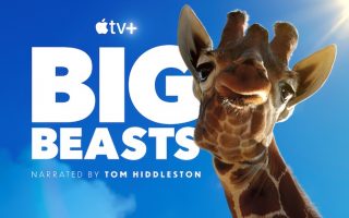 „Big Beasts“: Apple TV+ zeigt ersten Trailer zu neuer Tier-Serie